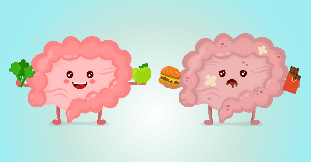 6 Ways to Boost Gut Health