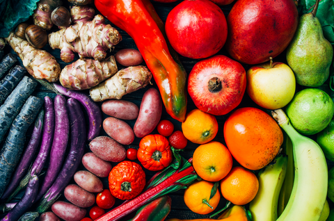 Your Gut on Plants